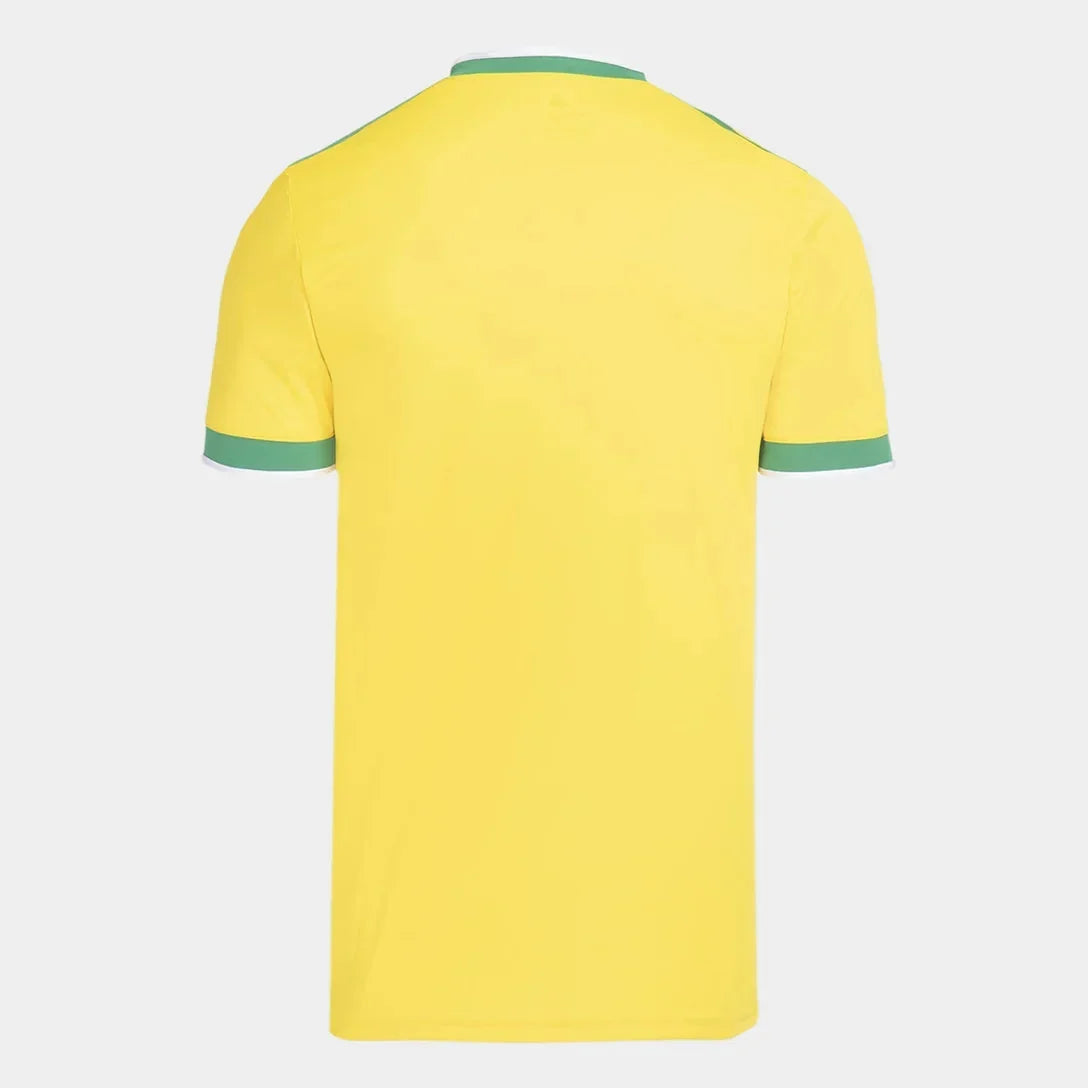 Camisa Masculina Flamengo Brasil 2026 - Amarelo+Verde