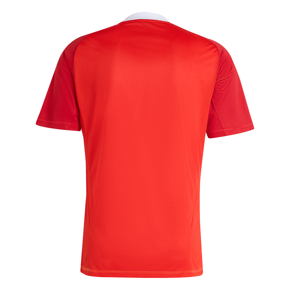 Manto Flamengo Goleiro 3 Adidas 2025 - Fan Version