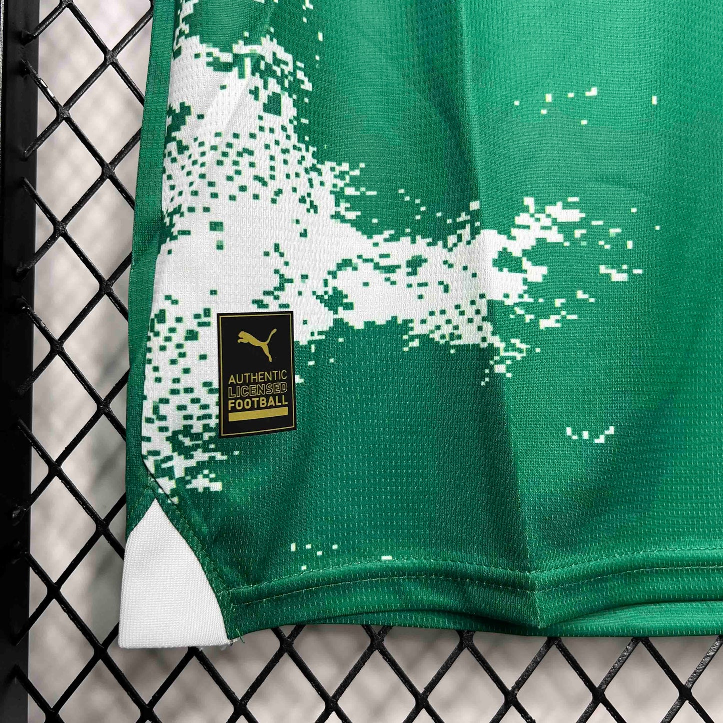 Palmeiras For a Greener Future Special Edition